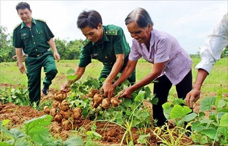 Phù sa ơi...