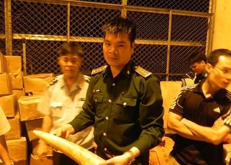 Phối hợp bắt giữ 860 kg ngà voi và hơn 2,1 tấn vảy tê tê