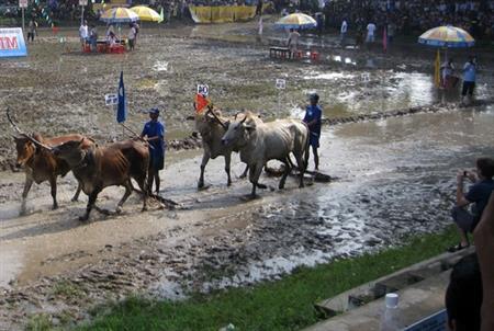 Du lịch "ba cùng" ở vùng biên Bảy Núi