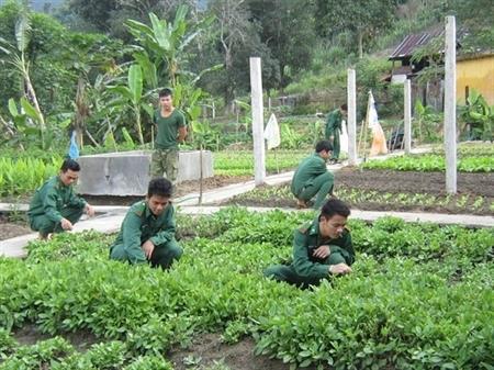 Tạo nguồn thu trong vùng tự cung, tự cấp