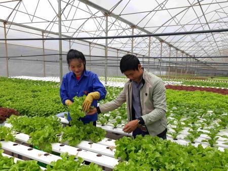 Ứng dụng công nghệ cao phát triển nông nghiệp bền vững