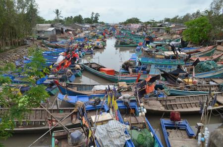 “Mong manh” bám biển
