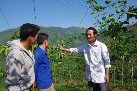 Tìm hướng phát triển đảng viên trẻ người dân tộc thiểu số ở miền Tây Nghệ An (bài 3)