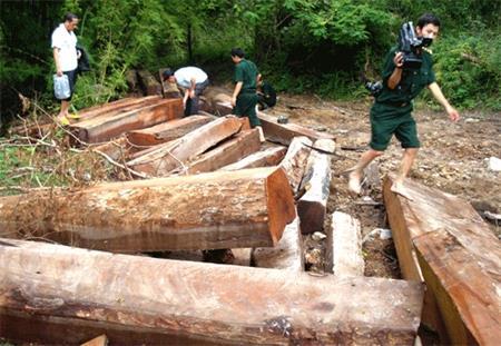 Liên tục lập công mừng xuân mới