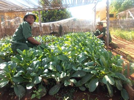 Lính biên phòng vùng biên viễn Đắc Ơ