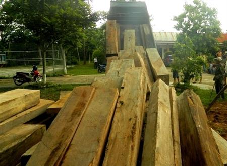 Phát hiện và thu giữ 42m3 gỗ tại khu vực biên giới