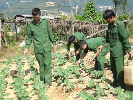 “Thành luỹ” biên cương