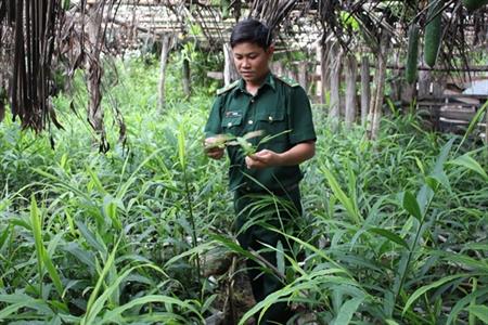 Chống "giặc đói" cho buôn làng