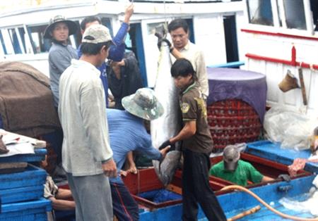 Vươn lên làm giàu từ biển