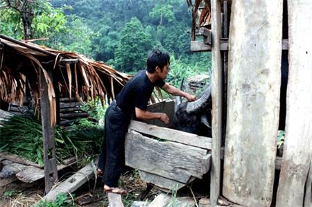 Những người "bám bản"