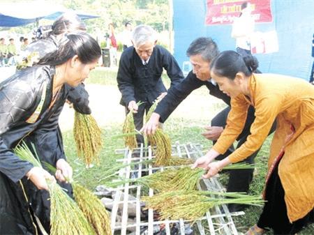 Đầm ấm lễ hội Cốm