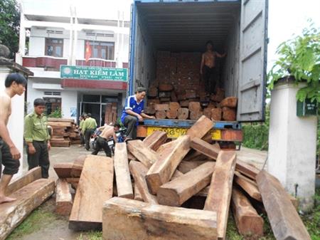 Nóng bỏng nạn mua bán, vận chuyển lâm sản trái phép