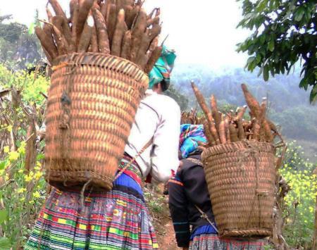 Giải "bài toán" xóa đói giảm nghèo dưới chân đèo Pha Đin