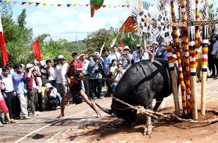 Một "đốm lửa" văn hóa Tây Nguyên