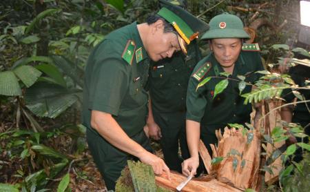 Những điều chưa biết tại hiện trường vụ phá rừng thuộc khu vực biên giới Nam Giang
