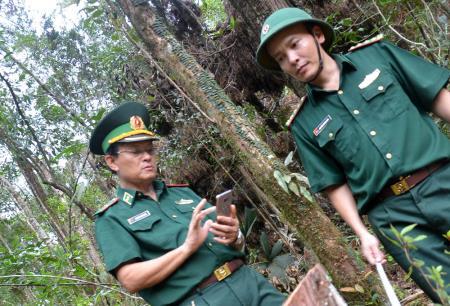 Đặt máy định vị vệ tinh để xác định tọa độ rừng pơ mu bị phá
