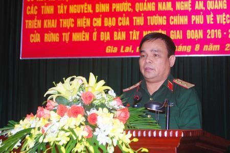 BĐBP tăng cường đấu tranh chống buôn lậu gỗ ở địa bàn biên giới