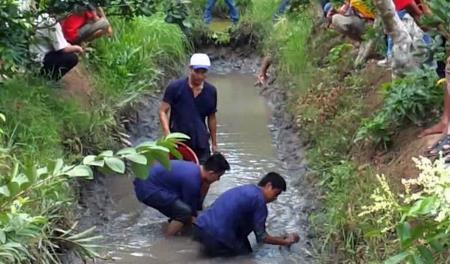 Cổ tích trên cù lao nghèo Cồn Sơn