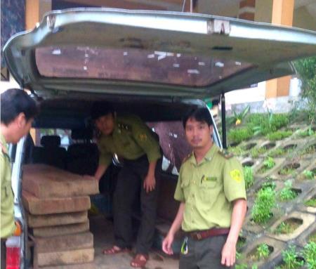 Đồn BP Cà Xèng bắt đối tượng dùng xe biển số xanh vận chuyển gỗ lậu số lượng lớn