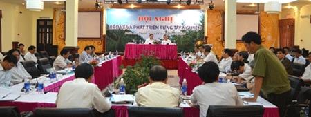 Cần sớm kiểm kê rừng Tây Nguyên trong năm 2013