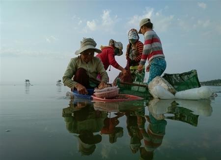 Những người đàn bà ở biển