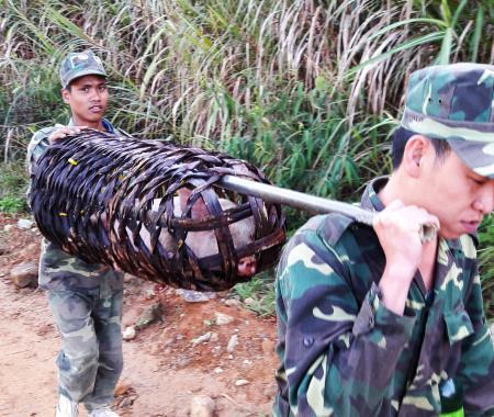 Nuôi lợn bằng... loa