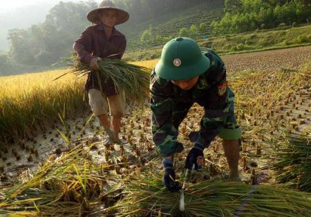Tuổi trẻ BĐBP Nghệ An triển khai nhiều hoạt động vì cộng đồng