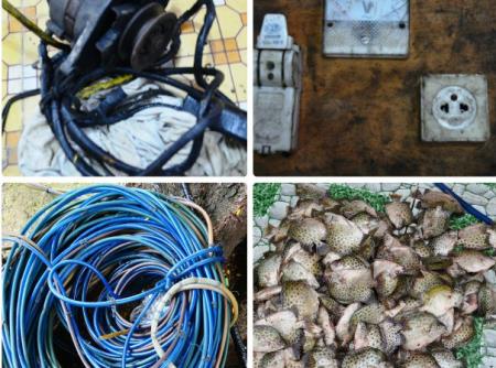 Đồn BP Cần Thạnh bắt giữ đối tượng dùng kích điện khai thác thủy sản