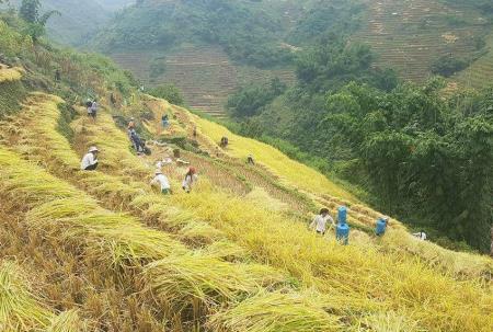 Những đổi thay trên vùng đất dốc