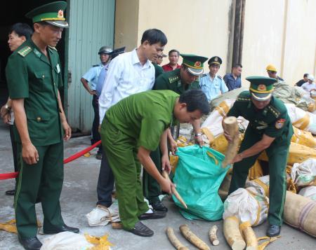 Tái phát tình trạng buôn bán ngà voi qua biên giới