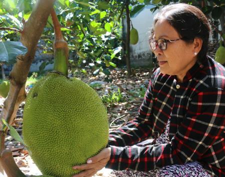 “Vua” nông trang hữu cơ