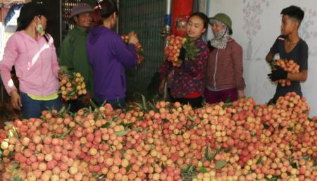 Triển vọng của Hiệp định Đối tác toàn diện và tiến bộ xuyên Thái Bình Dương (CPTPP)