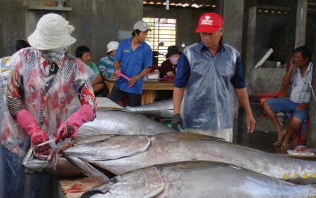 Bộ trưởng Nguyễn Xuân Cường: Khai thác hải sản cần lấy thị trường làm “mệnh lệnh sản xuất”