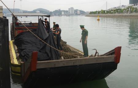 Tiêu hủy 5 tấn hàu giống nhập lậu