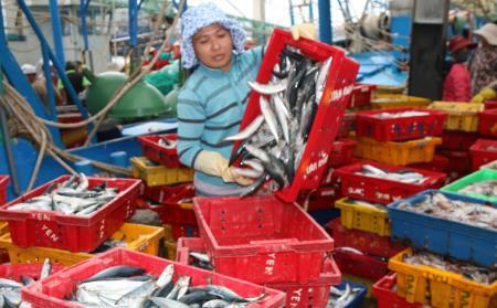 Đâu là giải pháp khai thác thủy sản bền vững?