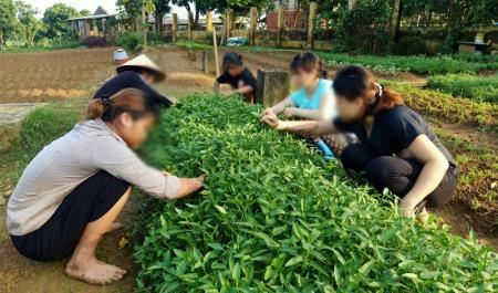 Địa chỉ cai nghiện ma túy và đào tạo nghề tin cậy