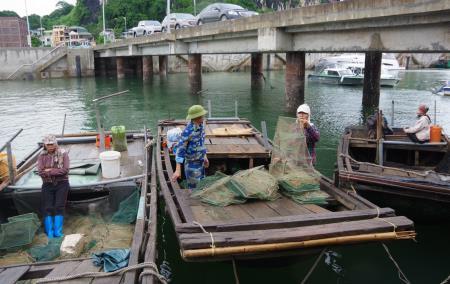 Đồn Biên phòng cửa khẩu cảng Hòn Gai bắt giữ phương tiện khai thác hải sản trái phép