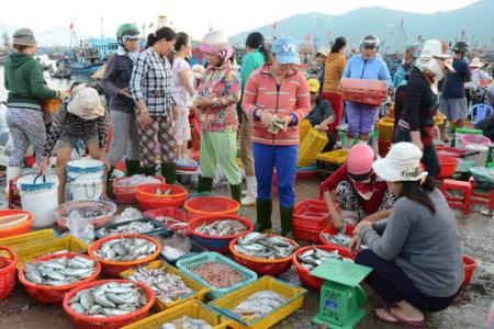 Chính sách phát triển thủy sản giúp ngư dân vươn khơi bám biển