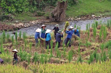 Nhận diện những thách thức của nông dân trong thời kỳ hội nhập