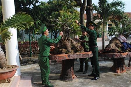 Nơi bình minh đến sớm