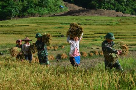 Mùa vàng ở vùng đất đệ nhất khó