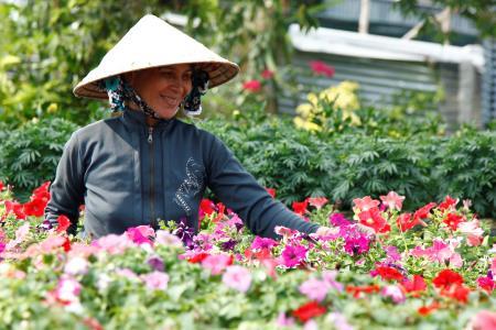 Xuân về trên chín dòng sông