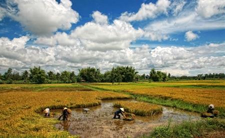Xây dựng Nông thôn mới: Cần "đánh thức" nguồn lực đang "ngủ quên"