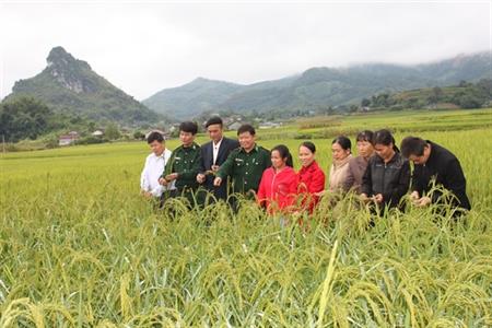 Dân vận khéo, tấn công tội phạm hay