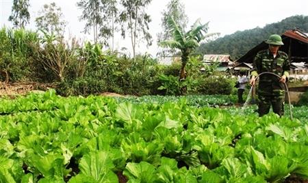 BĐBP Nghệ An sơ kết 5 năm thực hiện tiêu chí công tác “Hậu cần - Kỹ thuật - Tài chính ở đồn Biên phòng”