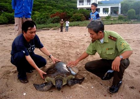 Thiên đường” của các “sản phụ rùa”