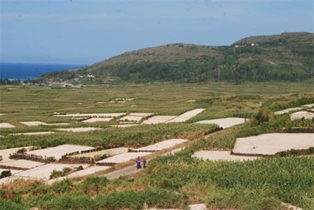 Khám phá Lý Sơn