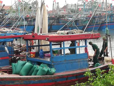 Đẩy lùi hoạt động khai thác hải sản “tận diệt”