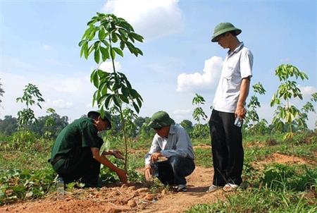 Một vườn cây, hai "sắc lính"