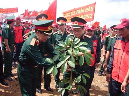 Binh đoàn 15: Ra quân trồng mới 6.300 ha cao su năm 2012